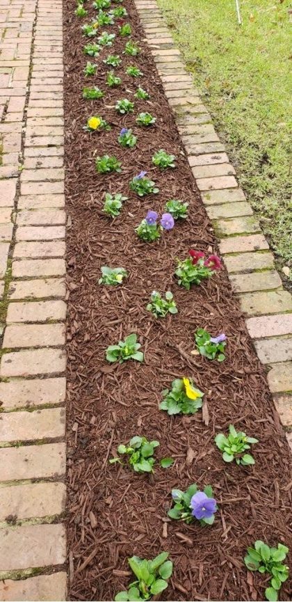 Painted Brown Mulch - Image 2